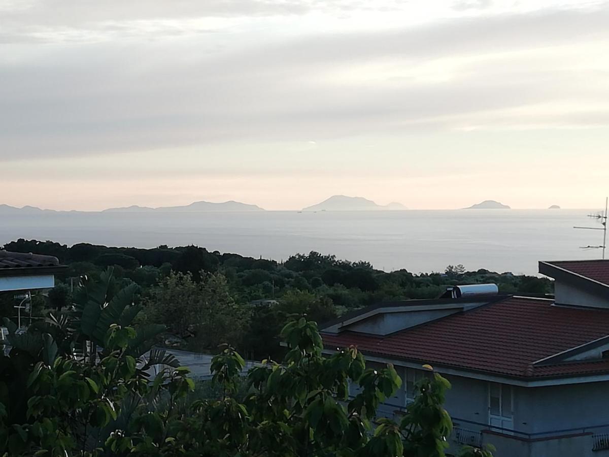 B&B Villa Orchidea Ricadi Bagian luar foto