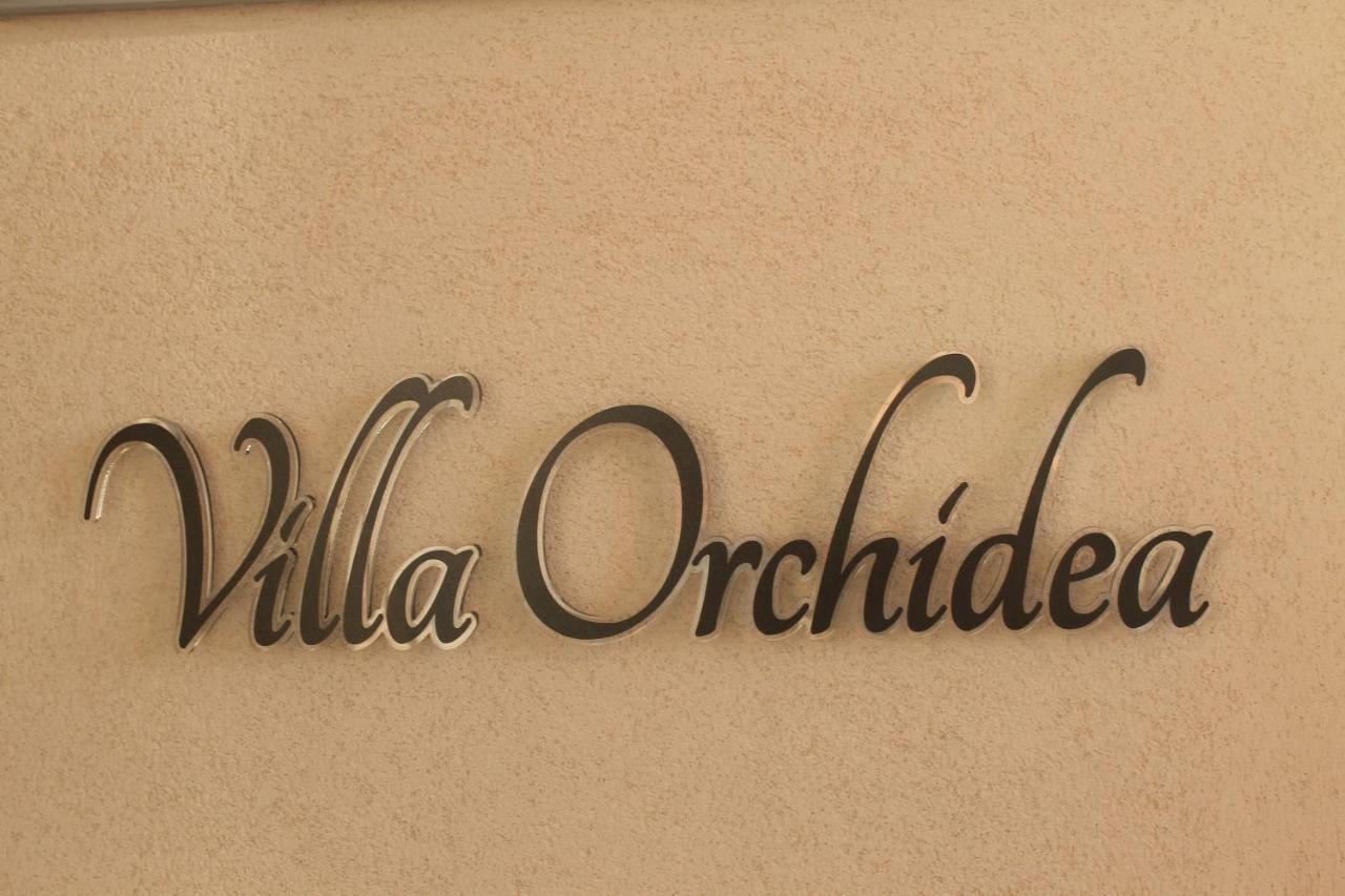 B&B Villa Orchidea Ricadi Bagian luar foto