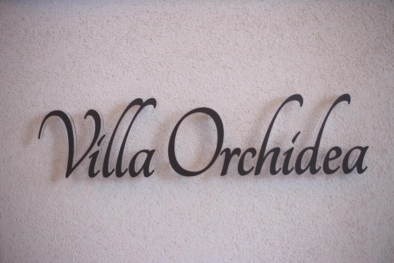 B&B Villa Orchidea Ricadi Bagian luar foto