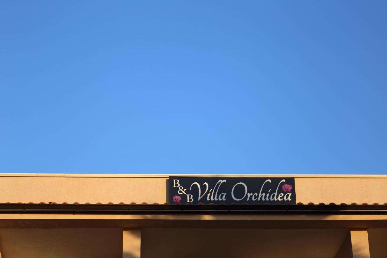 B&B Villa Orchidea Ricadi Bagian luar foto
