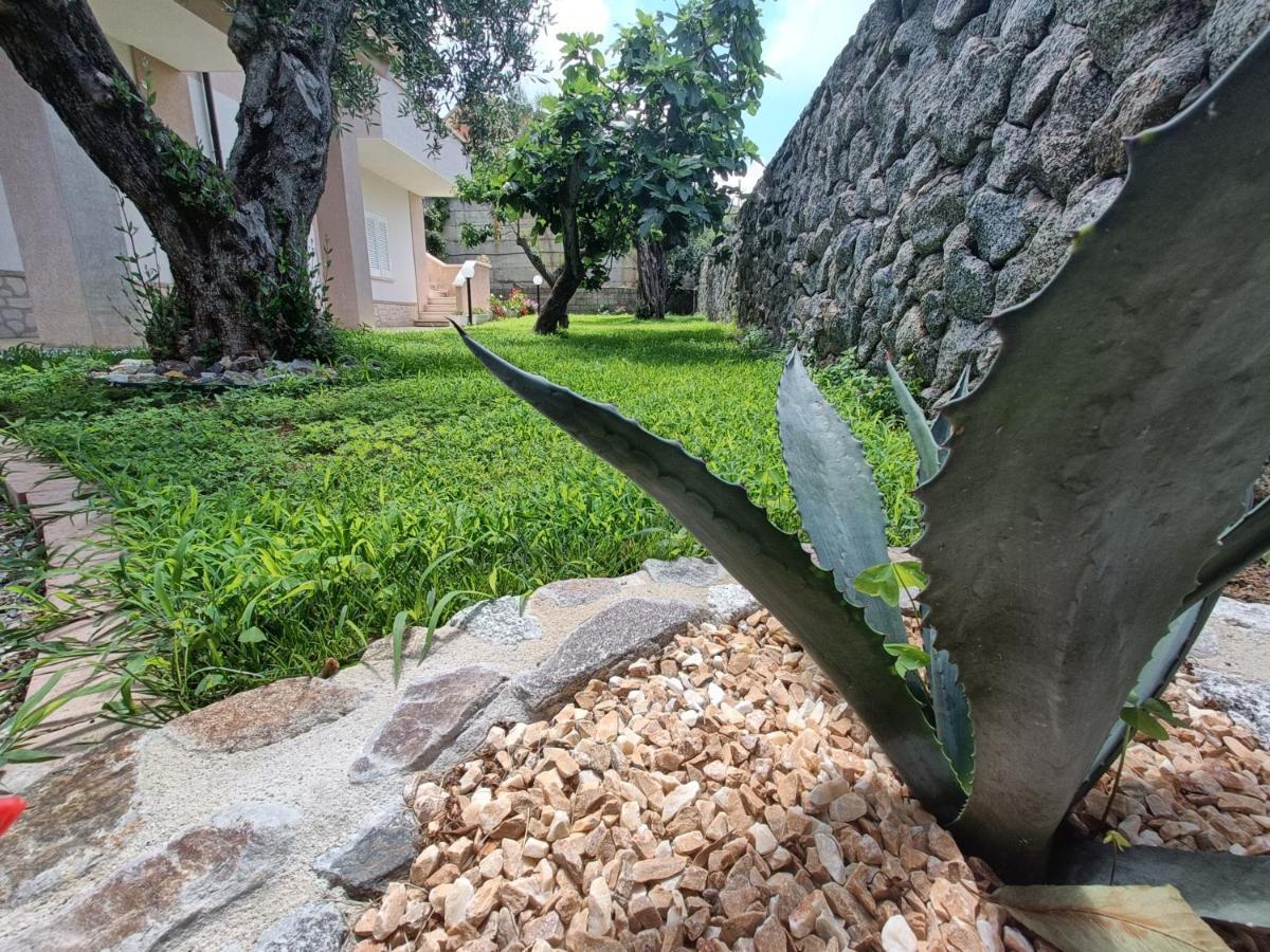 B&B Villa Orchidea Ricadi Bagian luar foto