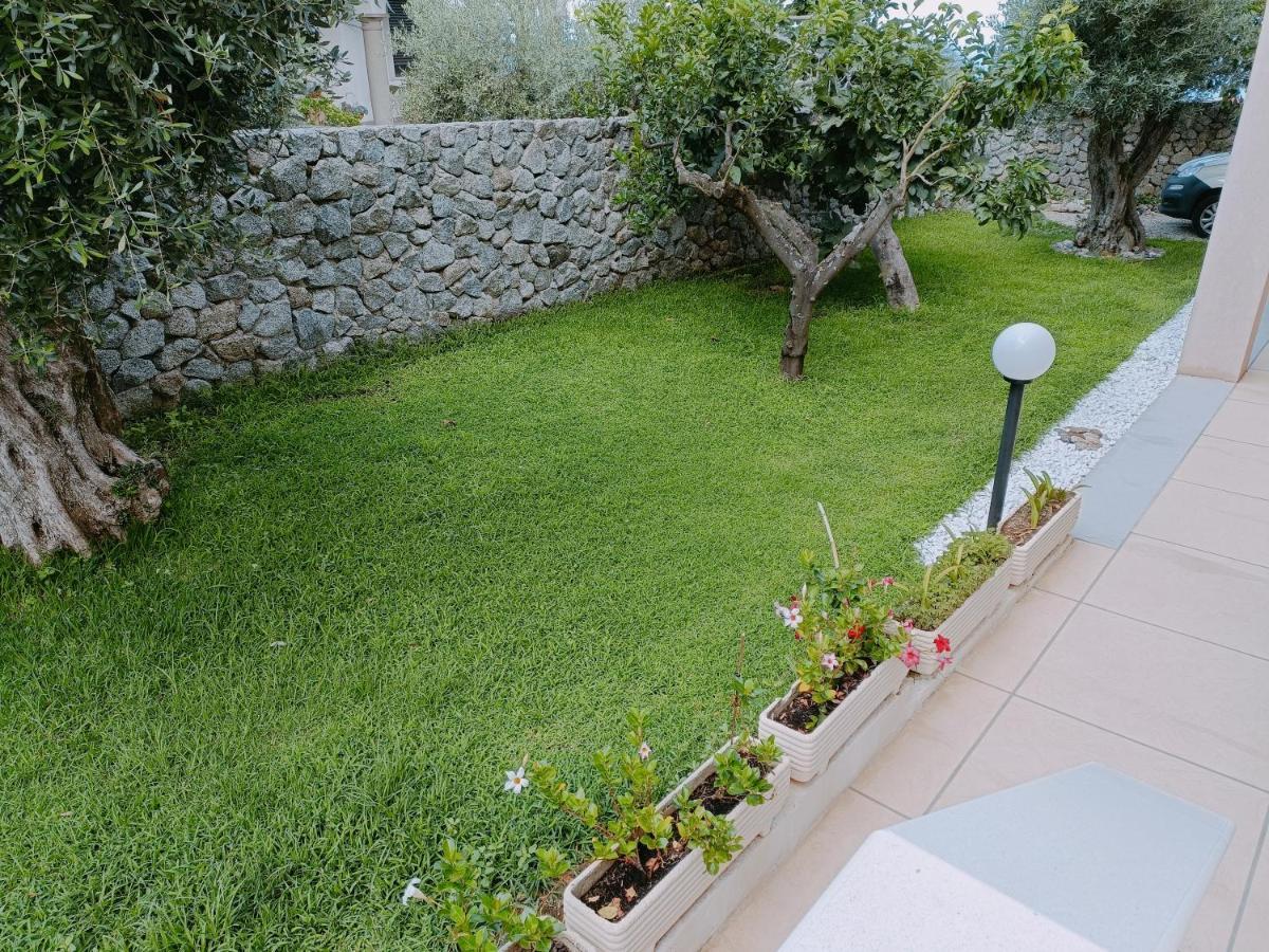 B&B Villa Orchidea Ricadi Bagian luar foto